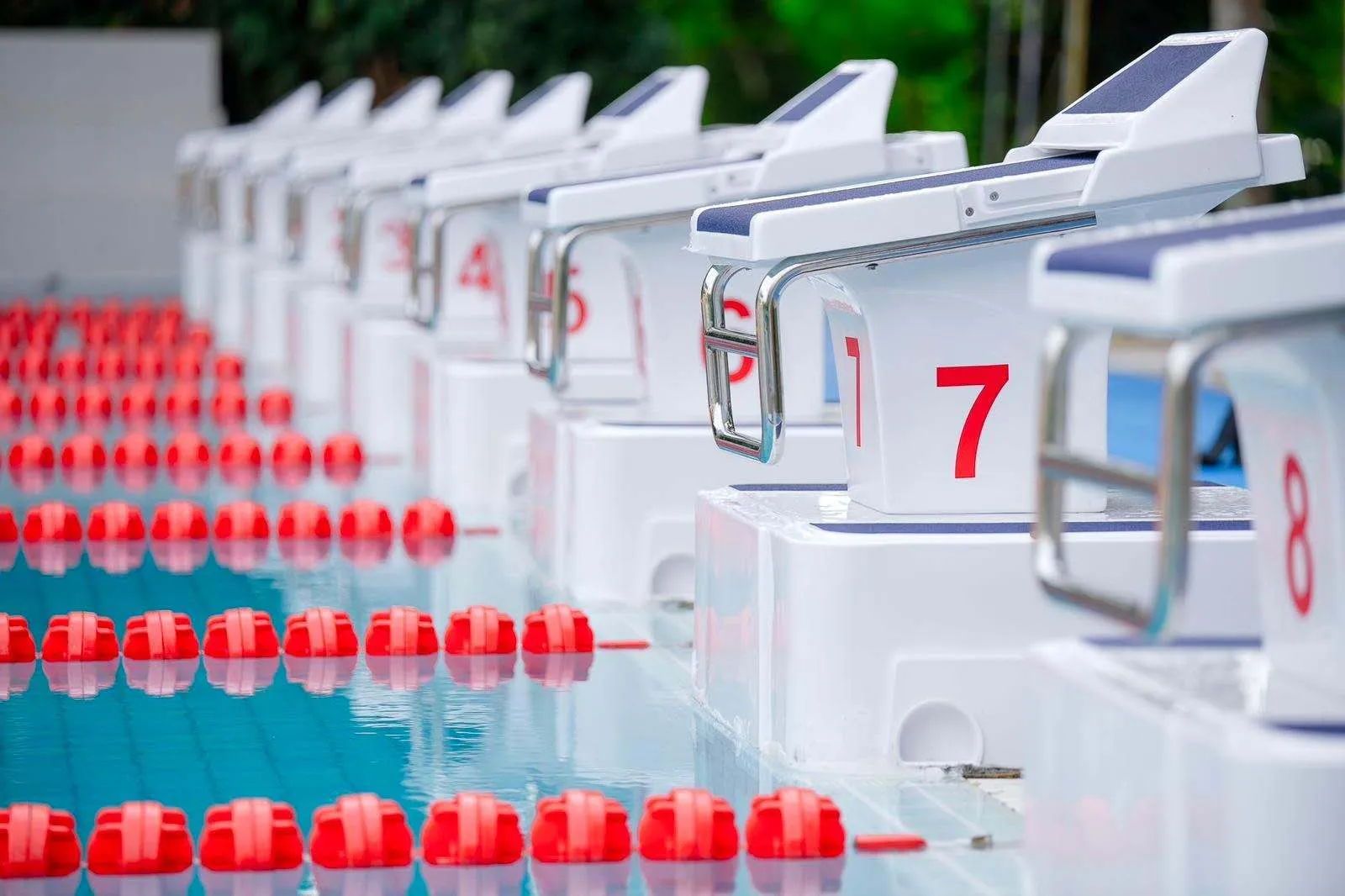 20241129133259 20241129133259